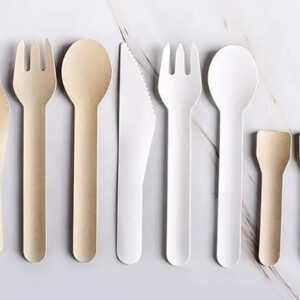 Eco Friendly Paper Spoon, Fork & Knife